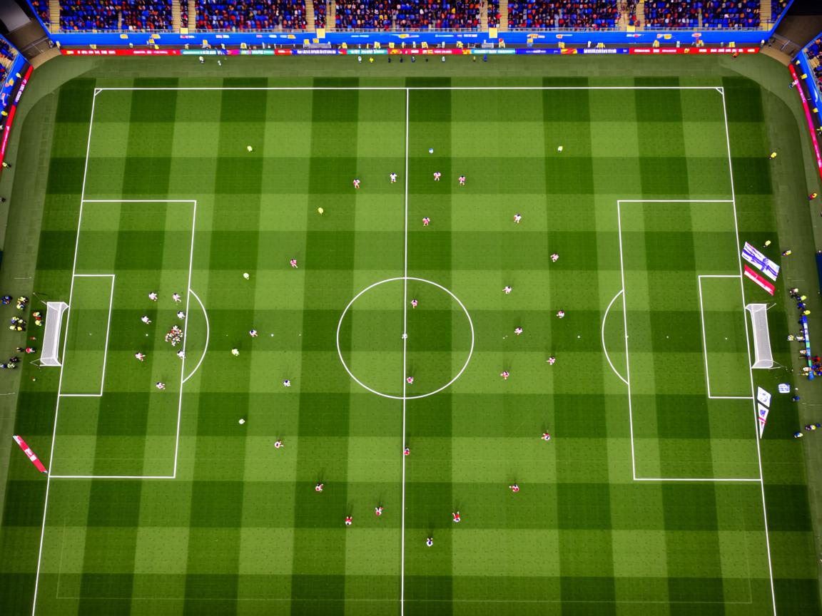 爱游戏app-保加利亚-击败维罗尼卡，欧洲预选赛豪夺胜利  第1张