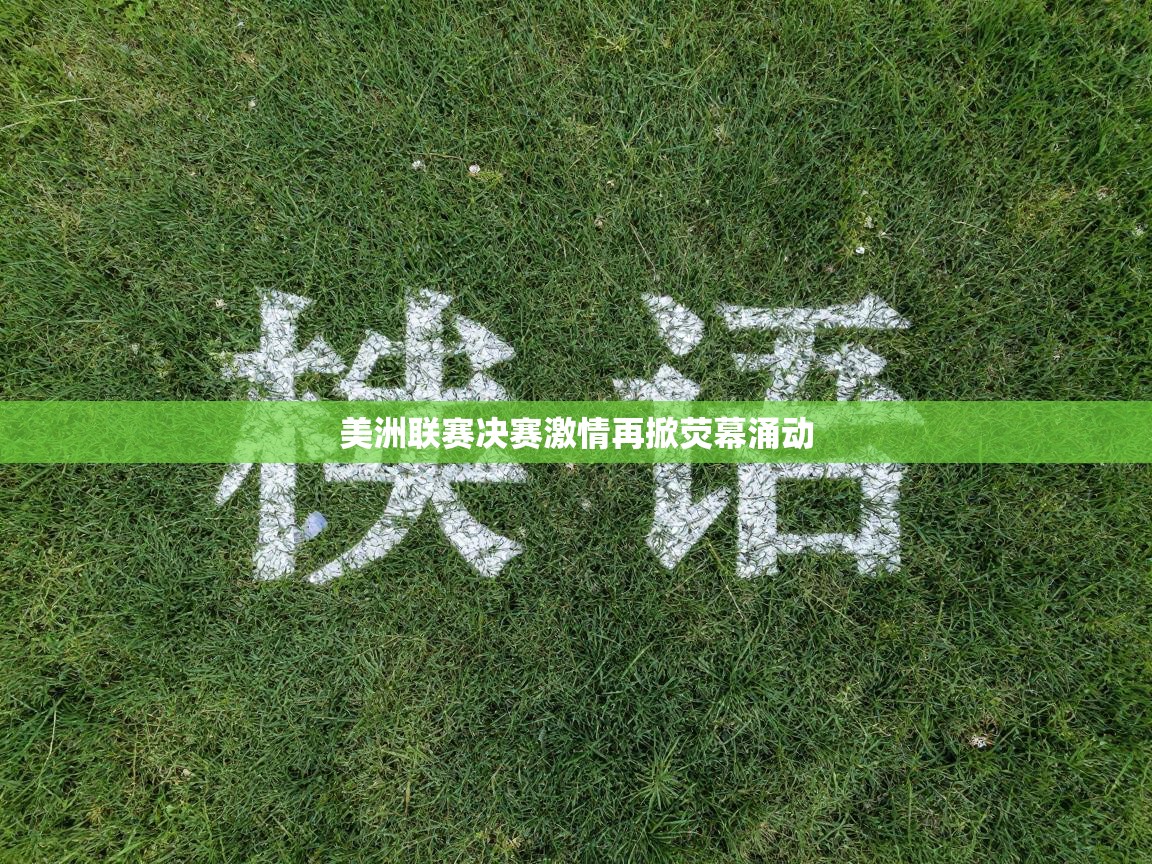 美洲联赛决赛激情再掀荧幕涌动 第2张